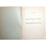 1943 [roślinność Polska-Wisła], Illustrierte Flora des Weichselraumes (flora visulensis);