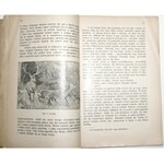 1927 - [pies, żubr] Hubert, Z ŻYCIA ZWIERZĄT; ssaki krajowe