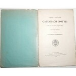 1899 - [MOTYLE] Klemensiewicz, O nowych i mało znanych GATUNKACH MOTYLI fauny galicyjskiej