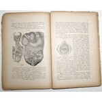 1891 [zoologia + dokumenty dot. oceny książki x2] Petelenz, Podręcznik do nauki zoologii w klasach wyższych szkół średnich