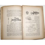 1891 [zoologia + dokumenty dot. oceny książki x2] Petelenz, Podręcznik do nauki zoologii w klasach wyższych szkół średnich