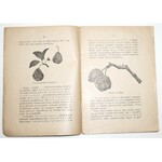 1934 - Zieliński, CZEM, JAK i KIEDY OPRYSKIWAĆ drzewa owocowe
