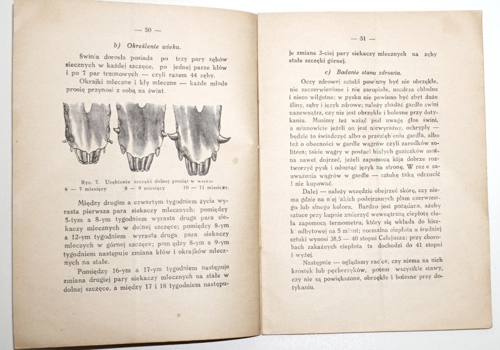 1936 Olszański, JAK KUPOWAĆ ZWIERZĘTA GOSPODARSKIE