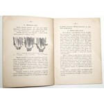 1936 - Olszański, JAK KUPOWAĆ ZWIERZĘTA GOSPODARSKIE