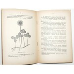 1907 - Sempołowski, ROŚLINY MOTYLKOWE pastewne (koniczyna, lucerna, esparceta, komonica, przelot i seradella) z 6 rycinami
