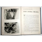 1932 - [Warszawa, Wilno, Sandomierskie, Polesie, Tatry] Goetel, POLSKA TWÓRCZA ilustracje, geografia, przyroda, legiony, lotnictwo, Afryka