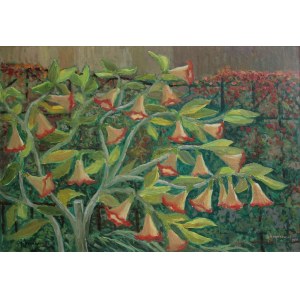 Jan Hrynkowski, (1891-1971) Datura w ogrodzie