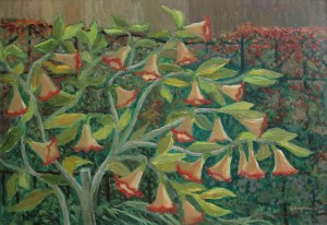 Jan Hrynkowski, (1891-1971) Datura w ogrodzie