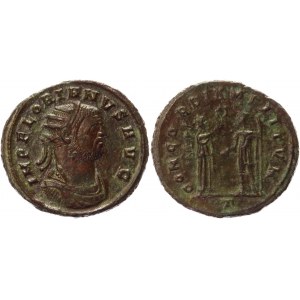 Roman Empire Antonianus 276 AD, Florian