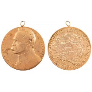 Medal, JÓZEF PIŁSUDSKI, 10 ROCZNICA ZAWIESZENIA BRONI, 1930