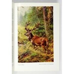 RAESFELD Ferdinand von - Das Rotwild. Naturgeschichte, Hege und Jagd. [...] Mit 215 Abbildungen und 5 farbigen Tafeln [....