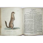 Endler, Scholz - Der Naturfreund oder Beitrage zur Schlesischen Naturgeschichte, 1809 [156 rycin]