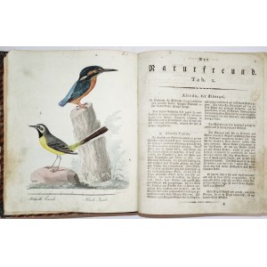 Endler, Scholz - Der Naturfreund oder Beitrage zur Schlesischen Naturgeschichte, 1809 [156 rycin]