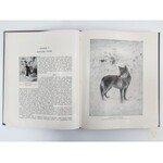 Cornish Charles John, Świat zwierząt [T. 1]; Zwierzęta ssące