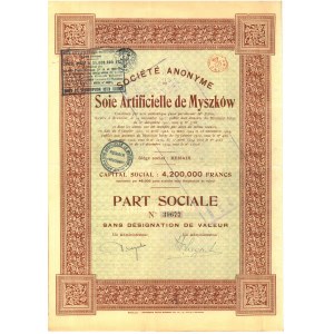 Akcja Societe Anonyme de Soie Artific de Myszków - Bruksela 1924