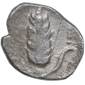 Lucania - Metapontion - AR Diobol (circa 325-275 BC)