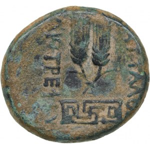 Roman Empire - Phrygia, Apameia AE - Augustus (27 BC - 14 AD)