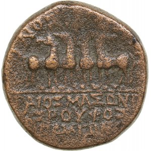Roman Empire - Phrygia, Apameia AE - Augustus with Gaius Caesar (27 BC - 14 AD)