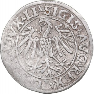 Lithuania 1/2 grosz 1547 - Sigismund II Augustus (1545-1572)