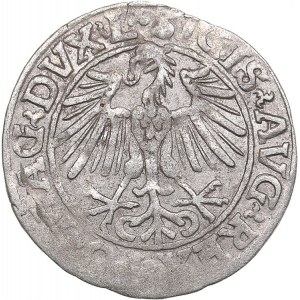 Lithuania 1/2 grosz 1548 - Sigismund II Augustus (1545-1572)