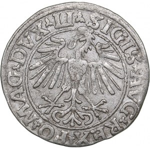 Lithuania 1/2 grosz 1548 - Sigismund II Augustus (1545-1572)