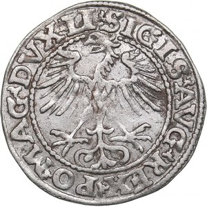 Lithuania 1/2 grosz 1552 - Sigismund II Augustus (1545-1572)