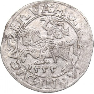 Lithuania 1/2 grosz 1555 - Sigismund II Augustus (1545-1572)
