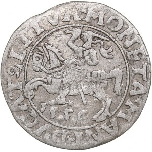 Lithuania 1/2 grosz 1556 - Sigismund II Augustus (1545-1572)