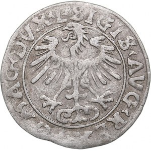 Lithuania 1/2 grosz 1556 - Sigismund II Augustus (1545-1572)