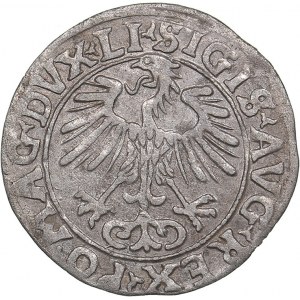 Lithuania 1/2 grosz 1556 - Sigismund II Augustus (1545-1572)