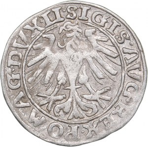 Lithuania 1/2 grosz 1557 - Sigismund II Augustus (1545-1572)