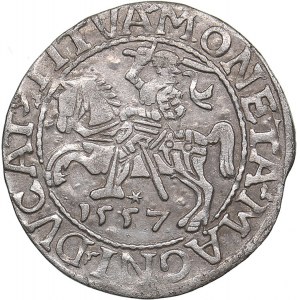 Lithuania 1/2 grosz 1557 - Sigismund II Augustus (1545-1572)