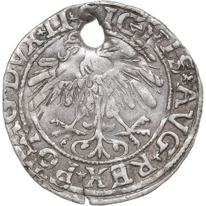 Lithuania 1/2 grosz 157 - Sigismund II Augustus (1545-1572)