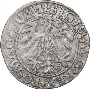 Lithuania 1/2 grosz 1559 - Sigismund II Augustus (1545-1572)