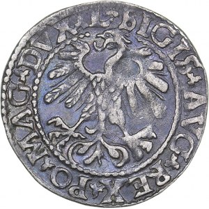 Lithuania 1/2 grosz 1559 - Sigismund II Augustus (1545-1572)