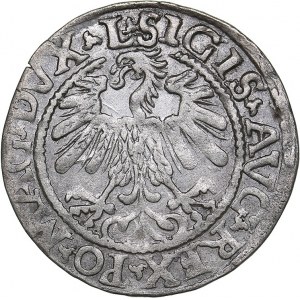 Lithuania 1/2 grosz 1559 - Sigismund II Augustus (1545-1572)