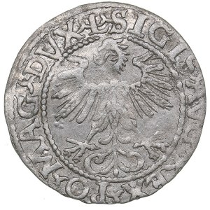 Lithuania 1/2 grosz 1560 - Sigismund II Augustus (1545-1572)