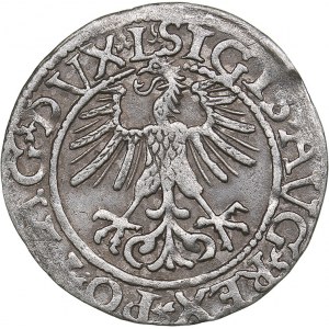 Lithuania 1/2 grosz 1561 - Sigismund II Augustus (1545-1572)