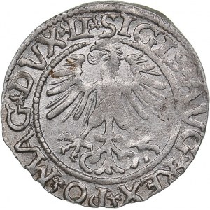 Lithuania 1/2 grosz 1561 - Sigismund II Augustus (1545-1572)