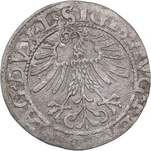 Lithuania 1/2 grosz 1562 - Sigismund II Augustus (1545-1572)