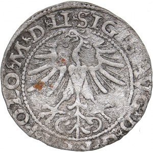 Lithuania 1/2 grosz 1564 - Sigismund II Augustus (1545-1572)