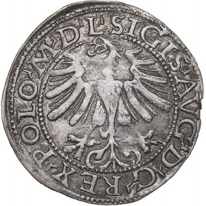 Lithuania 1/2 grosz 1565 - Sigismund II Augustus (1545-1572)