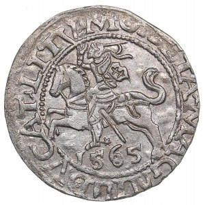 Lithuania 1/2 grosz 1565 - Sigismund II Augustus (1545-1572)