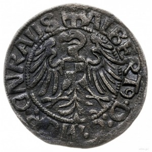 grosz 1520, Królewiec; ALBERT9 D G MGR GNRALIS / SALVA ...