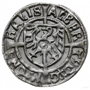 grosz 1523, Królewiec; ALBERT9 D G M GNERALIS / SALVA N...