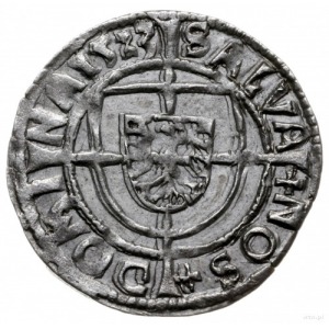 grosz 1523, Królewiec; ALBERT9 D G M GNERALIS / SALVA N...