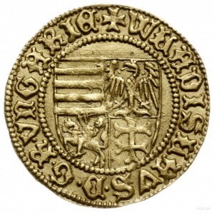 goldgulden bez daty (1443), Hermannstadt (węg. Nagyszeb...