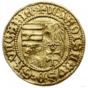 goldgulden bez daty (1443), Hermannstadt (węg. Nagyszeb...