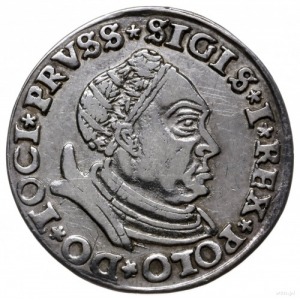 trojak 1530, Toruń; mała głowa króla w czepcu i zbroi, ...