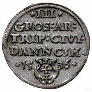 trojak 1536, Gdańsk; Gdańsk; popiersie króla z wąską gł...